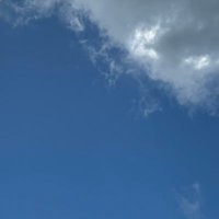 ricky (@richdonky1) 's Twitter Profile