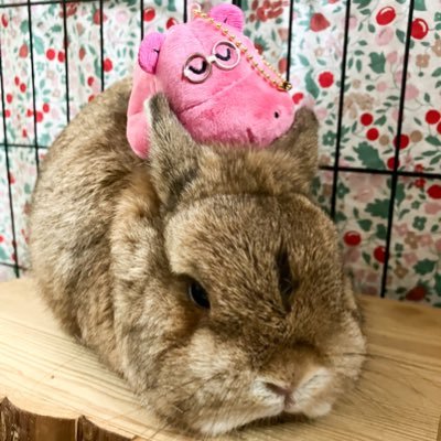 meroki_'s profile picture. ポニョ まちうら すき〜〜〜〜〜〜
