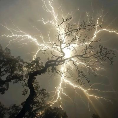 EricE21112984's profile picture. 