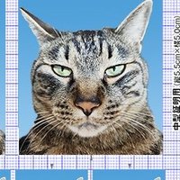 J.ペー太@Cat Worship (@j_peeeeeta) 's Twitter Profile Photo J.ペー太@Cat Worship (@j_peeeeeta) 's Twitter Profile Photo