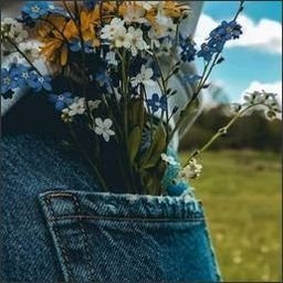 TeautitearshCD's profile picture. 