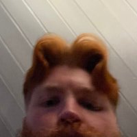 Gay Cat With ADHD 😼 (@gingerbredboi) 's Twitter Profile