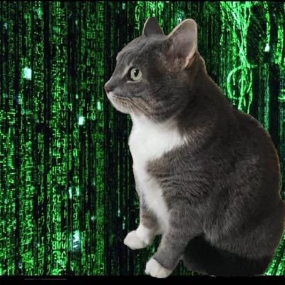LiminJiang0903's profile picture. Techno optimist