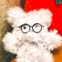 ソクラテス (@caban_de_quokka) 's Twitter Profile Photo