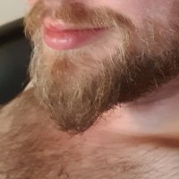 xberndx91 (@xberndx91) 's Twitter Profile