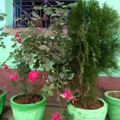 HShaikh357321's profile picture. 