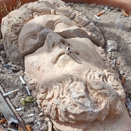 BojtiGlobales's profile picture. 