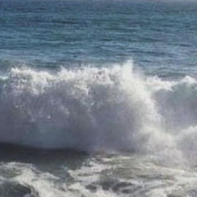 La libertad de expresión no es negociable y el que lo ponga en duda,ya sabe.Sevillista y no https://t.co/Ug7i71tSHd .No tengo currículum que falsificar🤣🤣