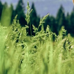 unko0812's profile picture. Grandrp pol aaa Alansub PWRP野島ぽる turtle city因幡ぽるDFMwin MagicMG