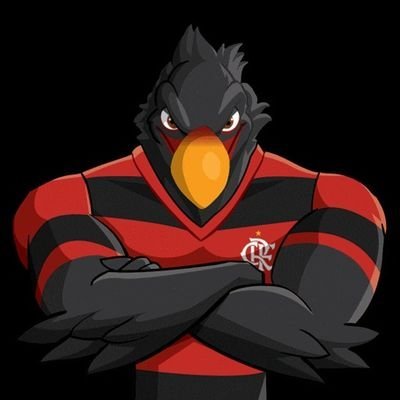 gbzin_crf81's profile picture. 