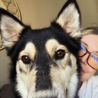 The RealLFC 🌻 (@thelyd995) 's Twitter Profile