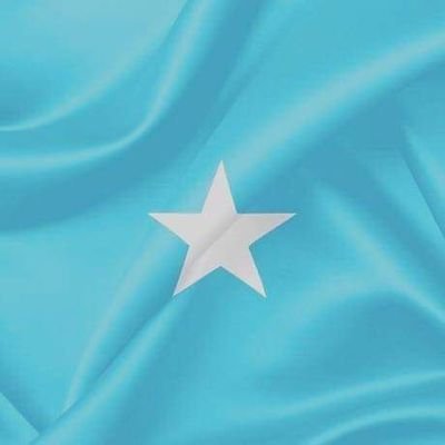 dalnuriyem's profile picture. 