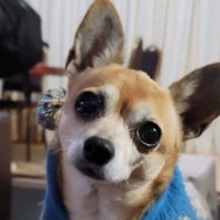 Sissy58 (@sissy5819) 's Twitter Profile