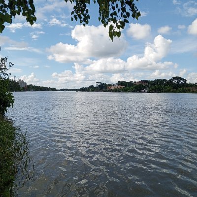 mdakterhos24375's profile picture. 