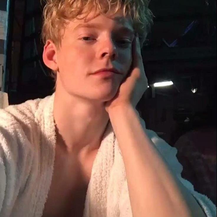 PEvelinao93151's profile picture. The extremely gentle moonlight in the forest, even the gods love it.