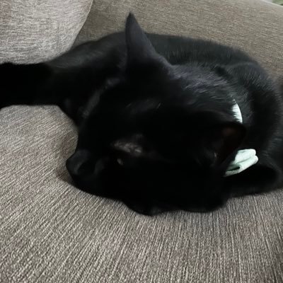 lordsouffle's profile picture. lmao (27 - he/they)