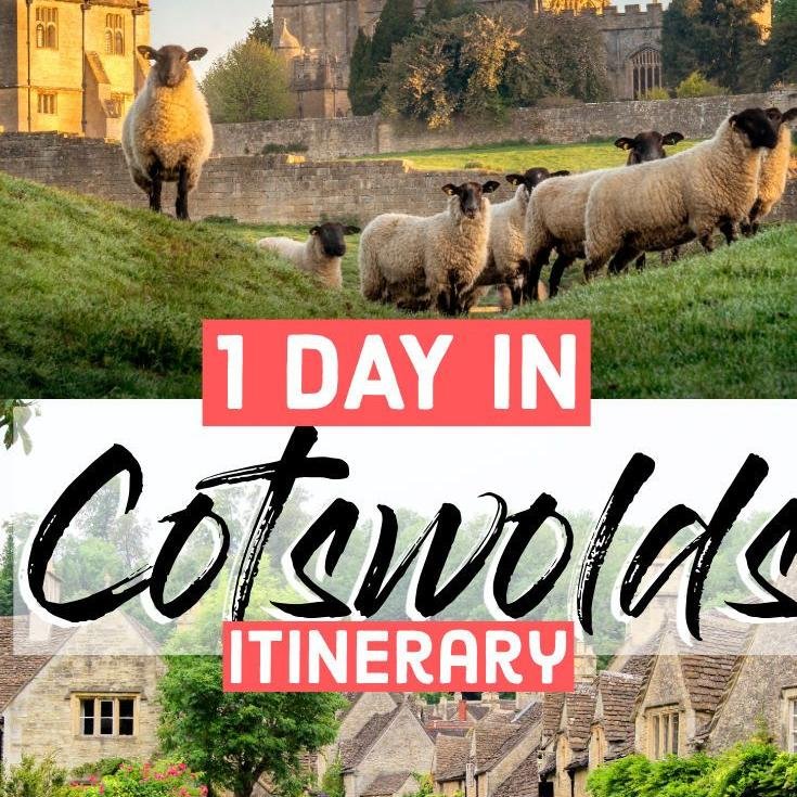 TGreenv50121's profile picture. I don’t know which unlucky guy will be with me forever in the end.