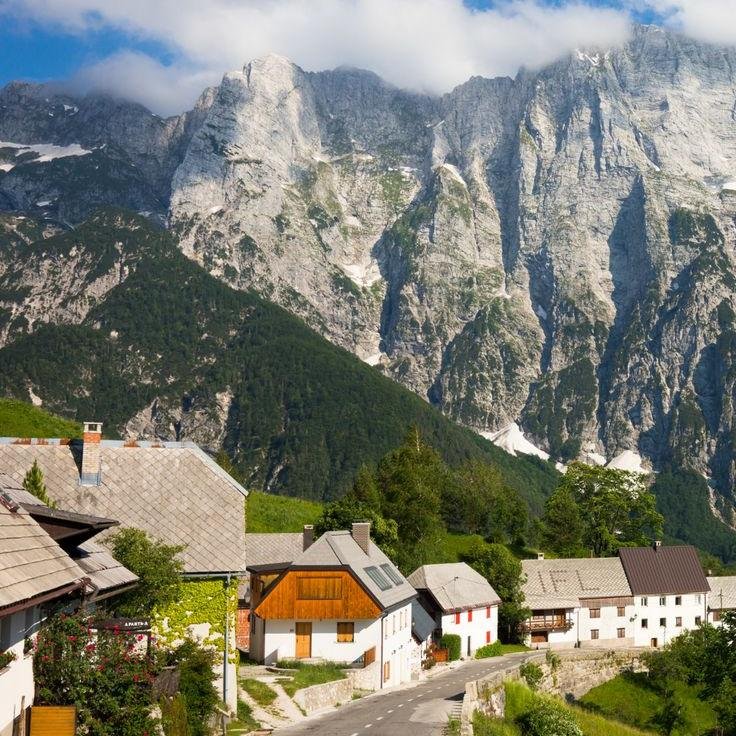 UrsulaWild74799's profile picture. short and beautiful time