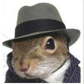 JM (@jmgir80) 's Twitter Profile