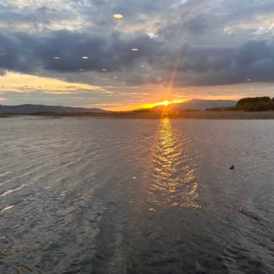 gralcoin's profile picture. 