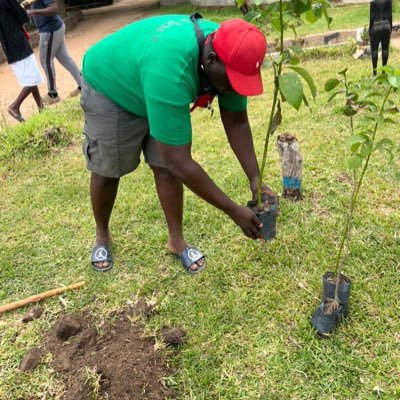 GrowGreenM's profile picture. Evergreen earth project is here to address environmental issues through 🌲 planting, creating awareness and advocacy.🌳🌍💨🌴🌱