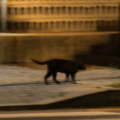 거래계さんのプロフィール画像