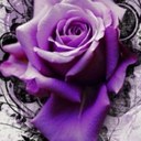 Diana Fields - @deeharley631 - Twitter