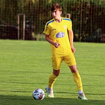 Tomas5Houdek's profile picture. football player