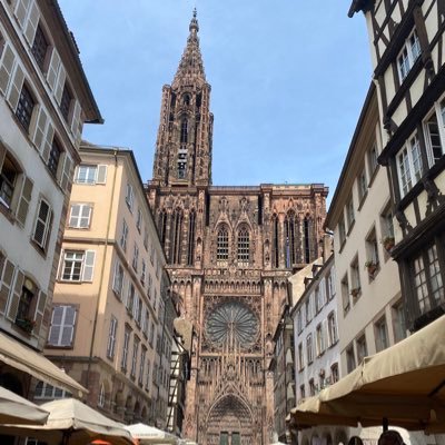 Tono_amour's profile picture. 