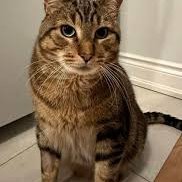 2625Ka's profile picture. 