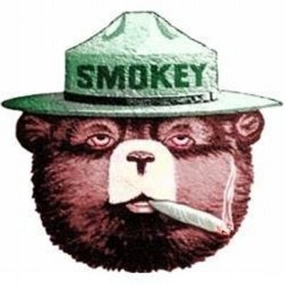 smok3y_the_bear's profile picture. boobs