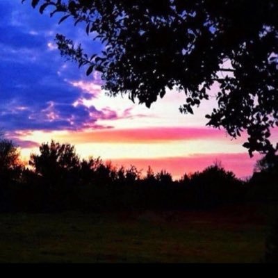 sdtavel's profile picture. 33 years experience as an attorney in Texas