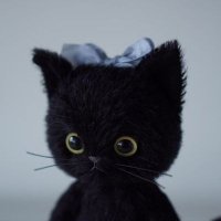 먉 (@myakk_o0o0) 's Twitter Profile