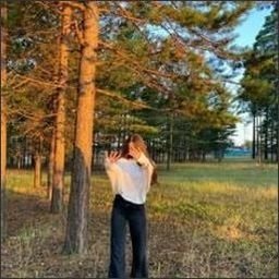 ShouteighFFE's profile picture. 