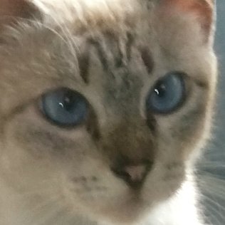 posting thoughts & feelings as if i was a priv acc with zero followers