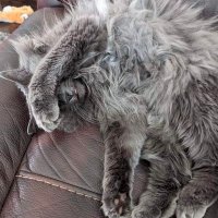 Ivan VanNostrin 🇨🇦 🎗️🇺🇦 (@nostrin) 's Twitter Profile Photo