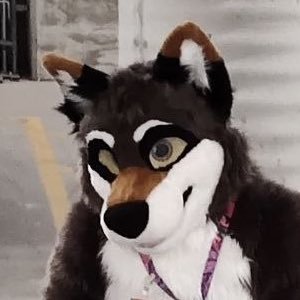 A Wild Coyote-Raccoon Hybrid (Also Artist) My Maker: @NordstromKaiju
