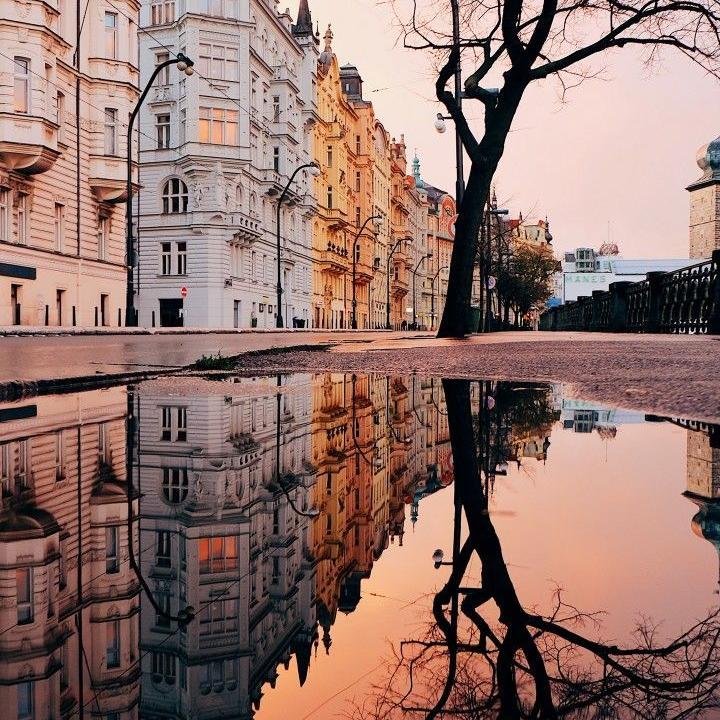 NicksUrsul21966's profile picture. This is probably the only thing the teacher didn’t lie to us about. Four years is really a short period of time.