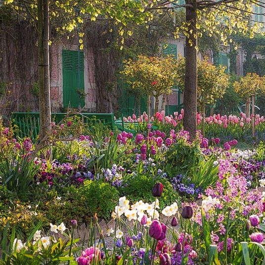 DRobinsonx41353's profile picture. I want to see you today no matter what the weather is