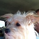 Jeff Clawson - @ClawsonJeff - Twitter