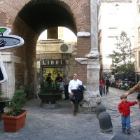 Carlo votino (@cvotino5791) 's Twitter Profile