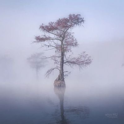 Arctic_Antar's profile picture. 07 上海 大一
(不是临港和奉贤那块的啦 我们至少有地铁捏)
181裸足
67-69kg浮动
瘦瘦的
#上海