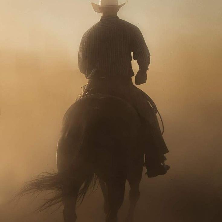 MWallisw23056's profile picture. I miss you I don't get tired of saying this ninety-nine or eighty-one times