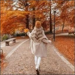 Tasimmorealcf's profile picture. 