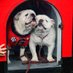 DAWGmom🐾❤️🖤🐾 (@dawgsxfour) Twitter profile photo DAWGmom🐾❤️🖤🐾 (@dawgsxfour) Twitter profile photo