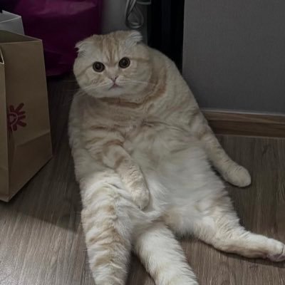 Vaannh16's profile picture. 