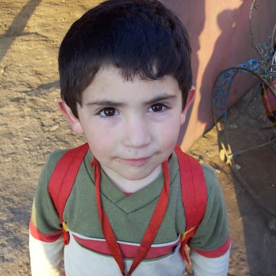 marrrk_dev's profile picture. 