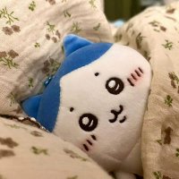 纵节 (@zongjie0796) 's Twitter Profile