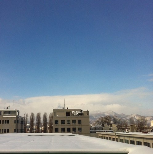 tomato_rycopene's profile picture. 楽しいことを模索中の電気タイプ。 サイクリング、ランニング、マラソン、地図読み、サッカー、北海道コンサドーレ札幌。