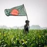 D12Raju's profile picture. I proudly uphold the spirits and ideals of Liberation war 1971, I'm a proud '#JoyBangla' man.